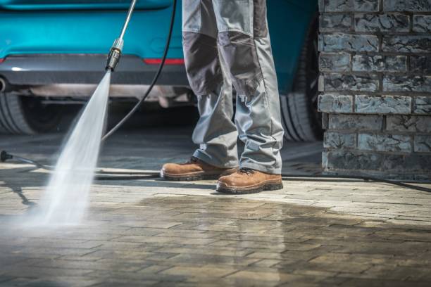 Best Boat and Dock Cleaning  in Wanamingo, MN
