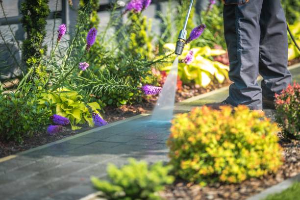 Trusted Wanamingo, MN  Pressure Washing Services Experts