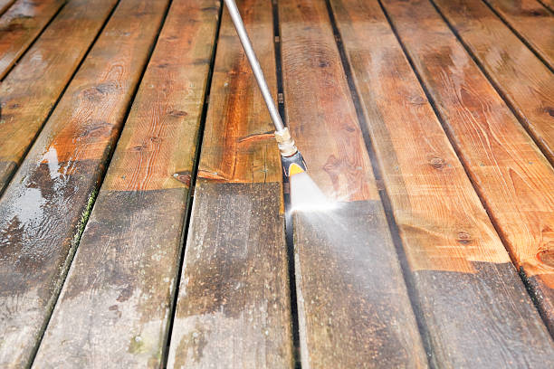 Best Fence Cleaning  in Wanamingo, MN